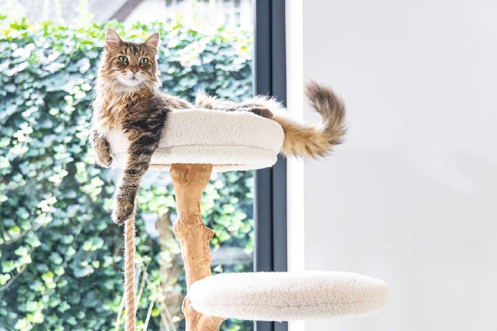 Designed by Lotte Kratzbaum Vilja